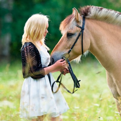 Horse Sweating in One Spot