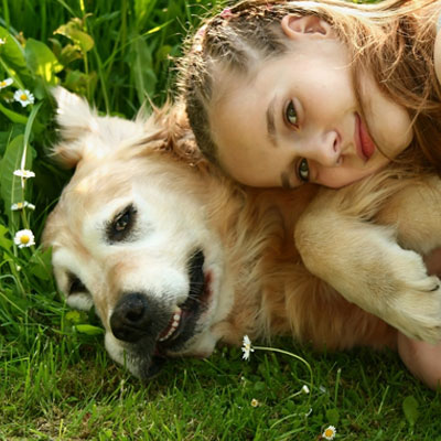 Keeping Fido Active | Hodes Veterinary Health Center