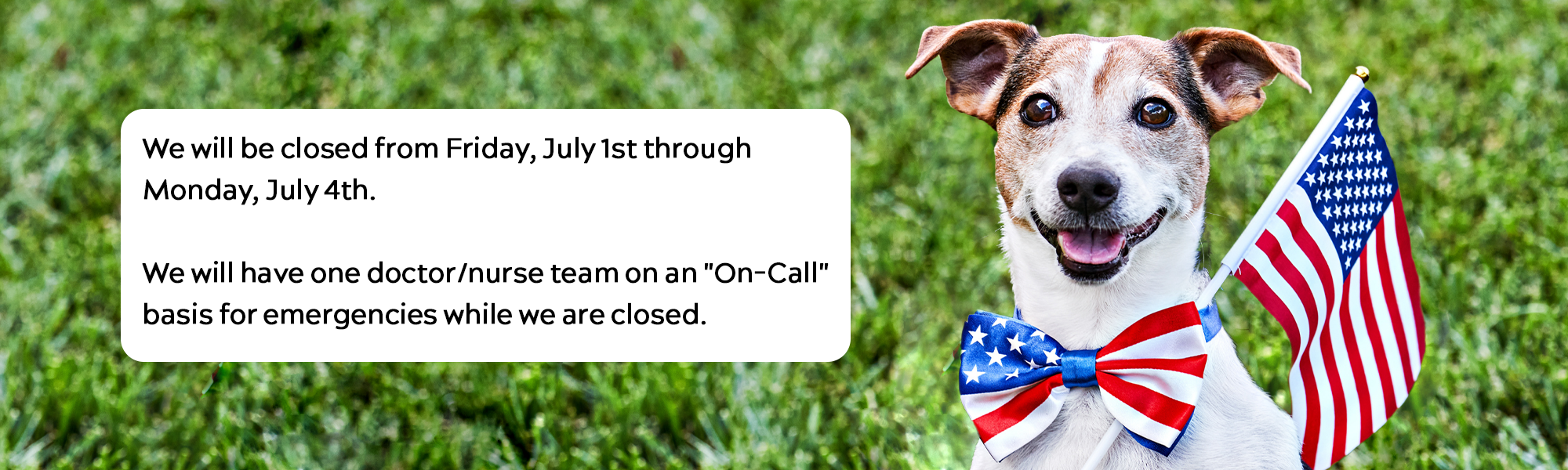 We will be closed from Friday, July 1st through Monday, July 4th.  We will have one doctor/nurse team on an "On-Call" basis for emergencies while we are closed. 