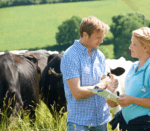 Farrier and veterinarian talking with cows behind them