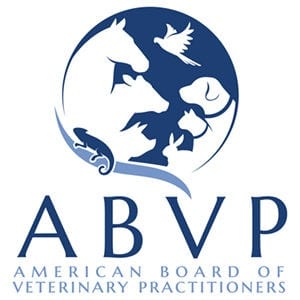 Link to American Board of Veterinary Practitioners Website