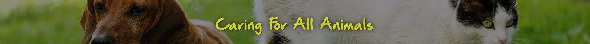 Care for all animals!
