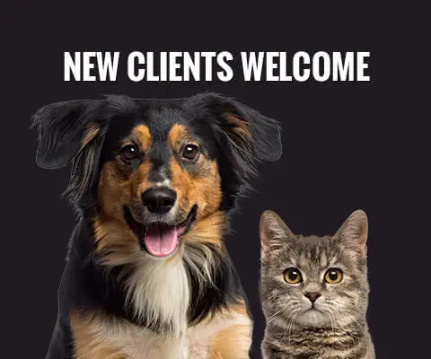 New Clients Welcome
